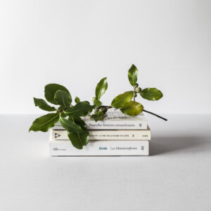 Business Book