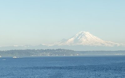 HOW TO ENJOY  a MEMORABLE DAY TRIP TO BAINBRIDGE ISLAND WA
